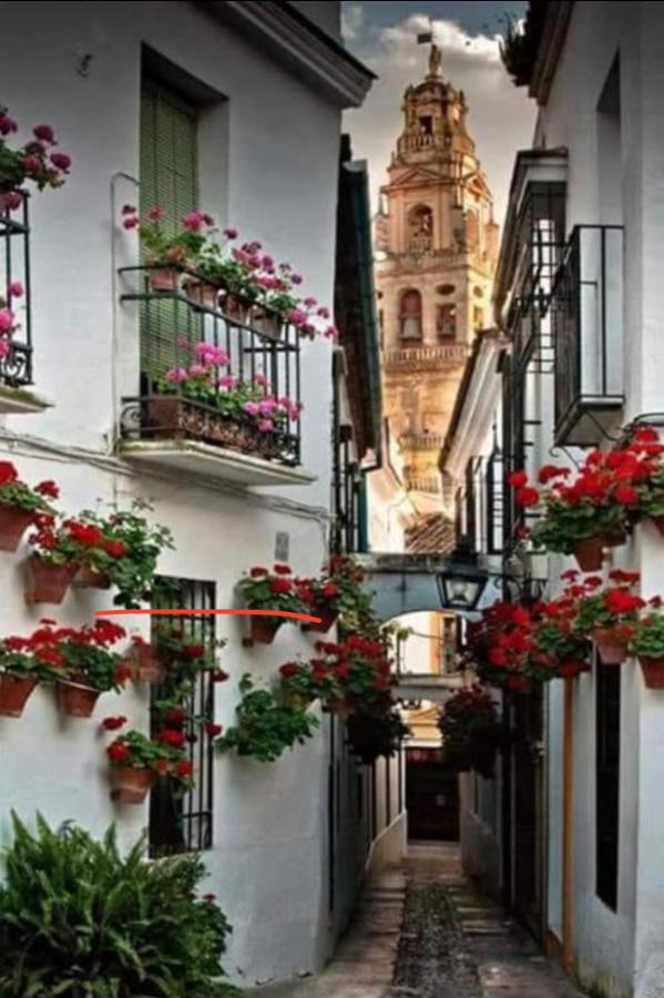 Casa Isa Apartment Córdoba Exterior foto